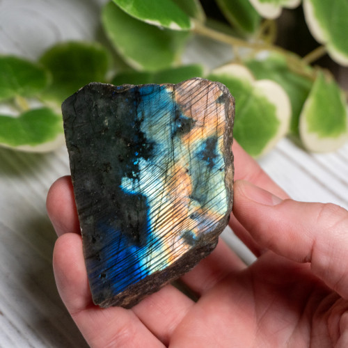 Half Polished Labradorite #2