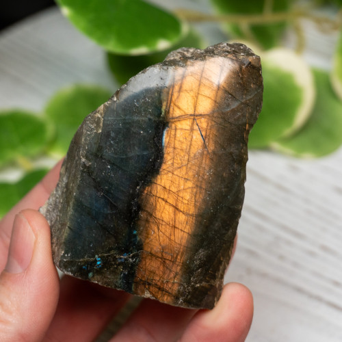 Half Polished Labradorite #3