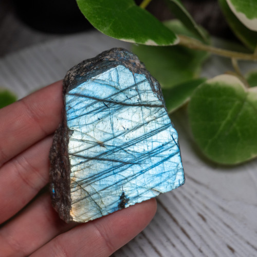 Half Polished Labradorite #1