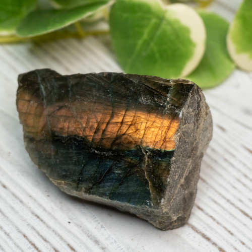 Half Polished Labradorite #3