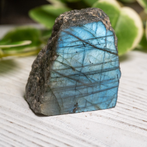 Half Polished Labradorite #1