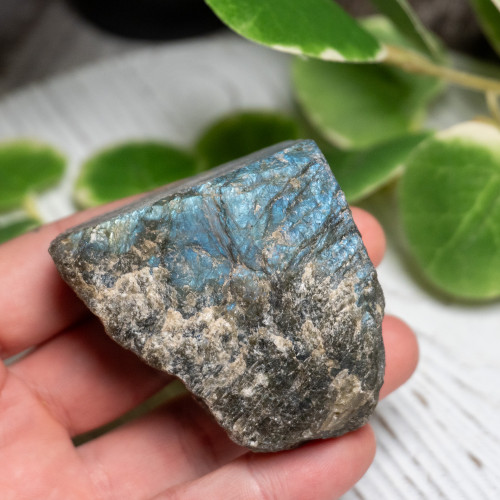 Half Polished Labradorite #1