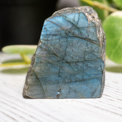 Half Polished Labradorite #1