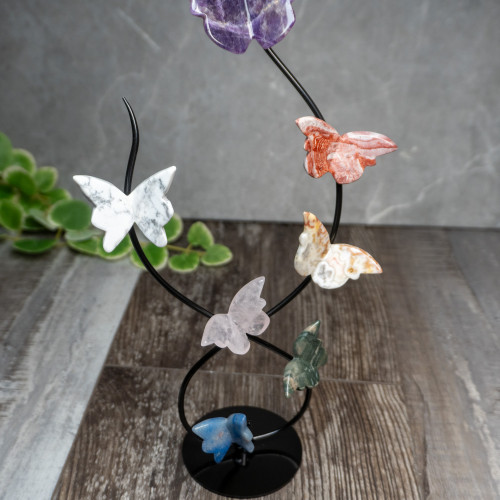 Multi Crystal Gold Butterfly Display