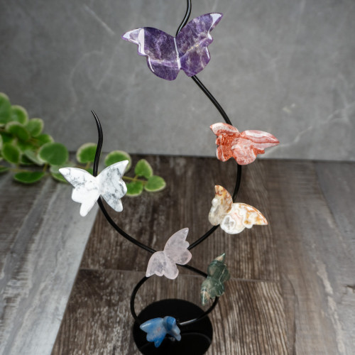 Multi Crystal Gold Butterfly Display