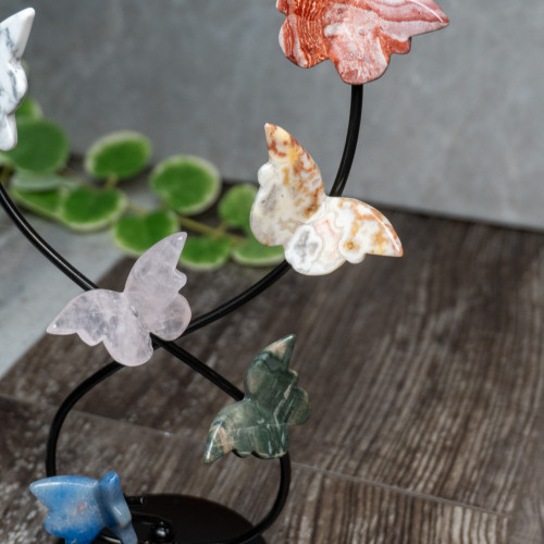 Multi Crystal Gold Butterfly Display