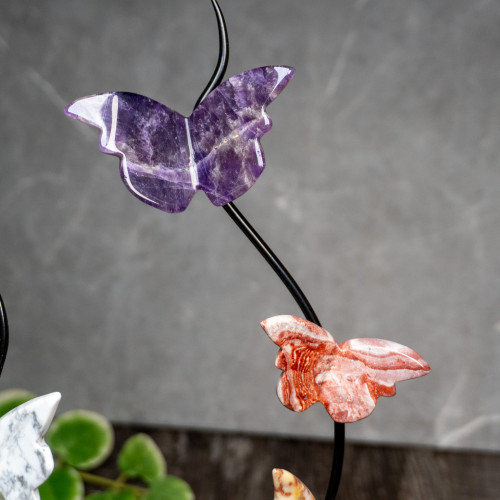 Multi Crystal Gold Butterfly Display