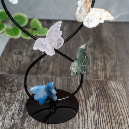 Multi Crystal Gold Butterfly Display