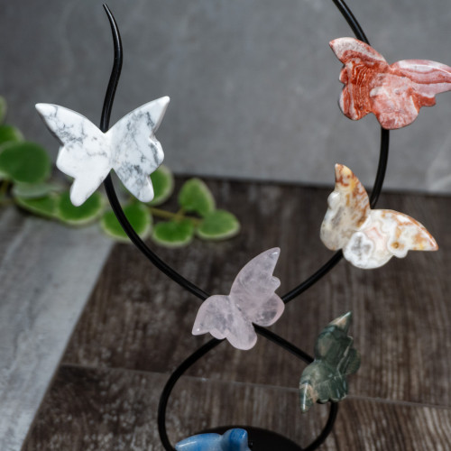 Multi Crystal Gold Butterfly Display