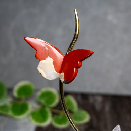 Multi Crystal Gold Butterfly Display