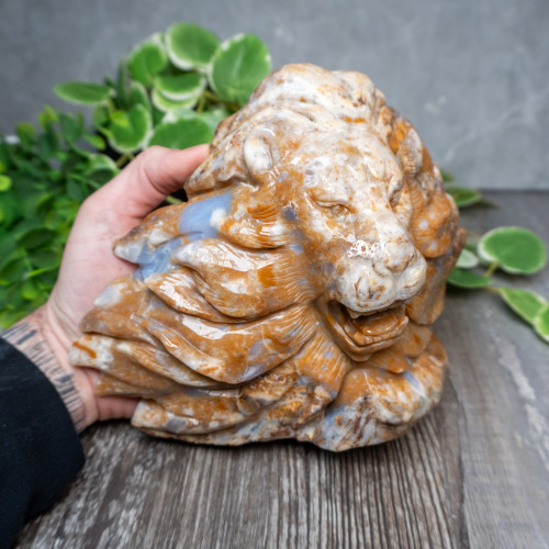 Chalcedony & Agate Lion Carving #4