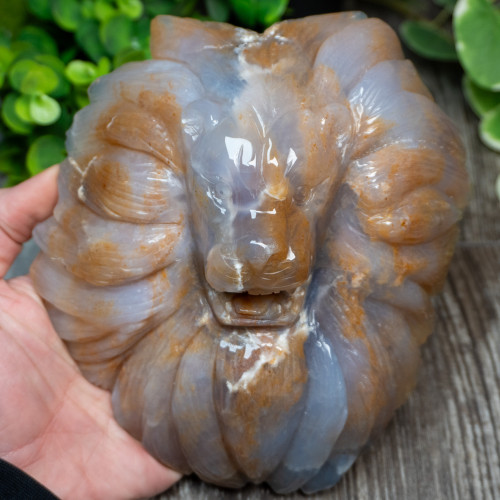 Chalcedony & Agate Lion Carving #3