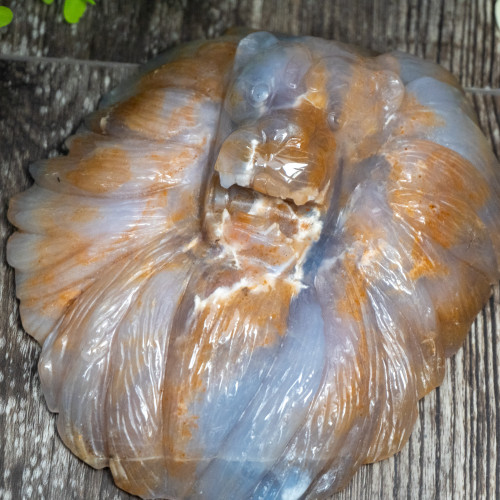 Chalcedony & Agate Lion Carving #3
