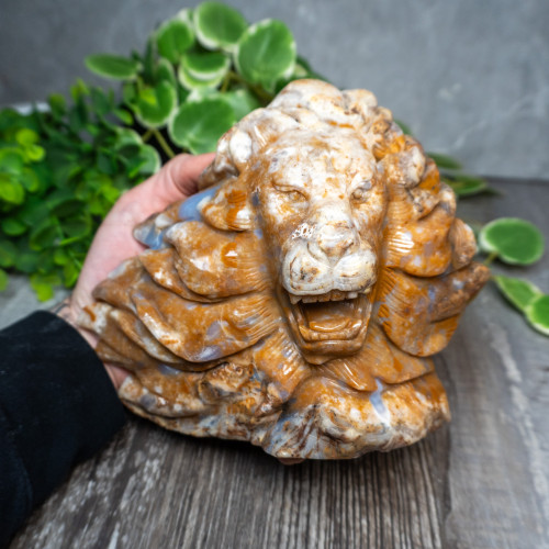 Chalcedony & Agate Lion Carving #4