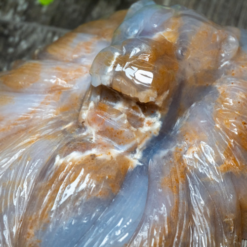 Chalcedony & Agate Lion Carving #3