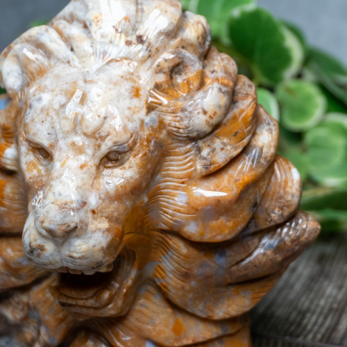 Chalcedony & Agate Lion Carving #4