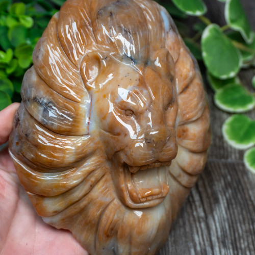 Chalcedony & Agate Lion Carving #2