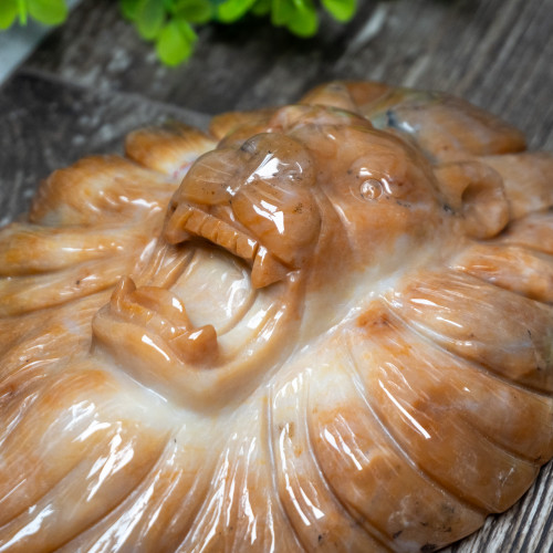 Chalcedony & Agate Lion Carving #2