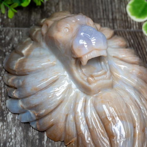 Chalcedony & Agate Lion Carving #1