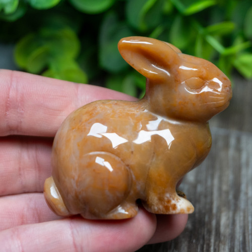 Agate Rabbit