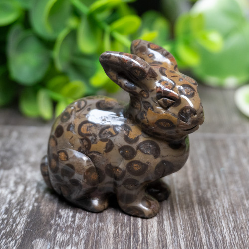 Oolong Jasper Rabbit