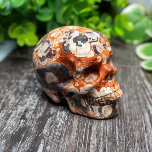 Red Rhyolite Skull Medium