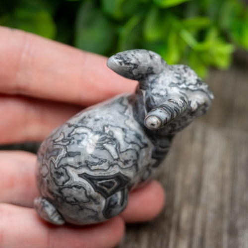 Silver Lace Agate Rabbit