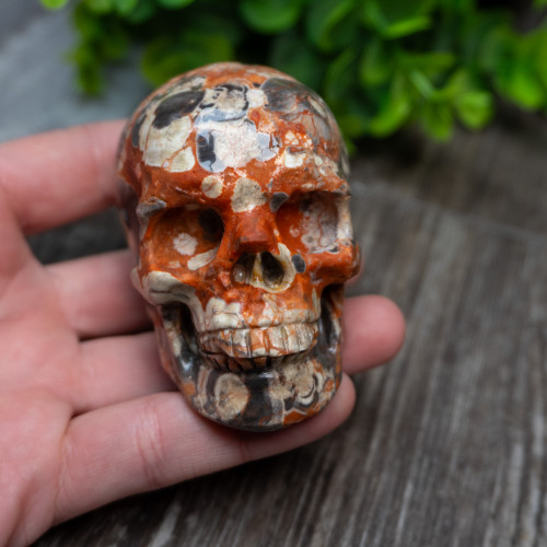 Red Rhyolite Skull Medium