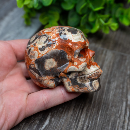 Red Rhyolite Skull Medium