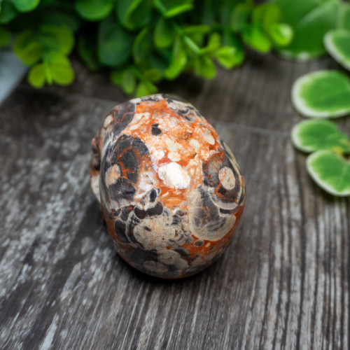 Red Rhyolite Skull Medium