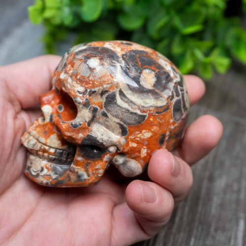 Red Rhyolite Skull Medium