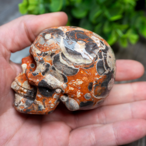 Red Rhyolite Skull Medium