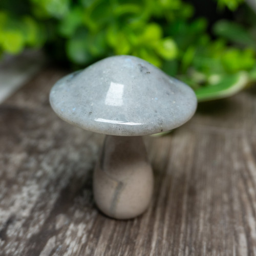 Labradorite & White Jade Mushroom