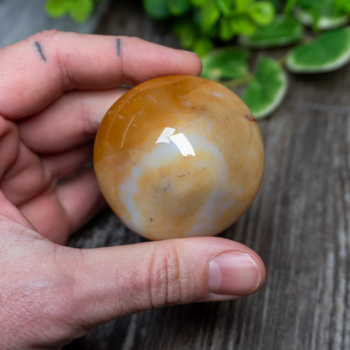 Agate & White Jade Mushroom