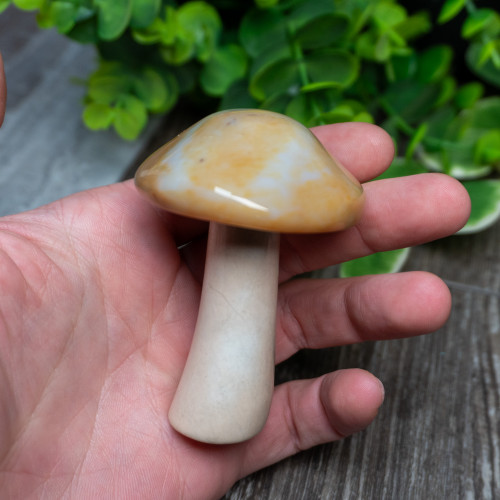 Agate & White Jade Mushroom