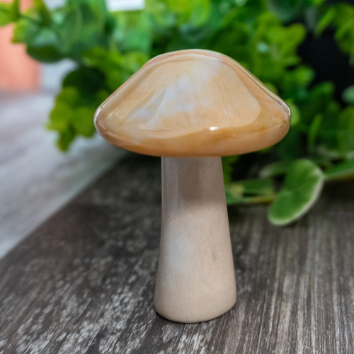 Agate & White Jade Mushroom