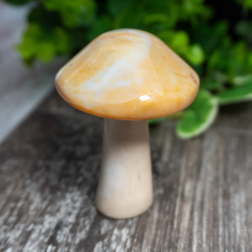 Agate & White Jade Mushroom