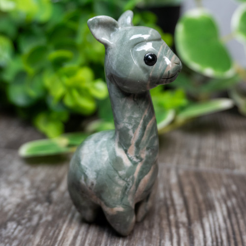 Nine Dragon Jade Llama