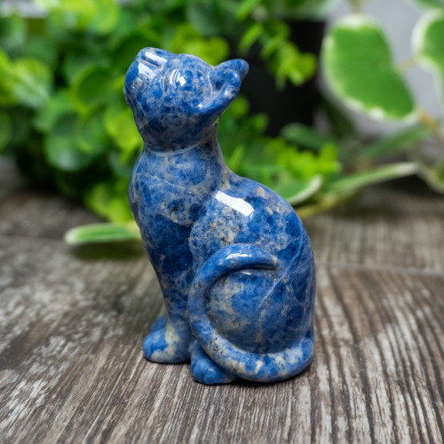 Sodalite Cat