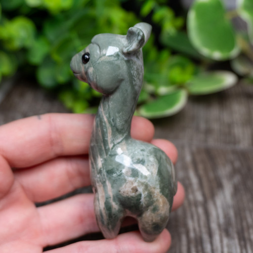 Nine Dragon Jade Llama