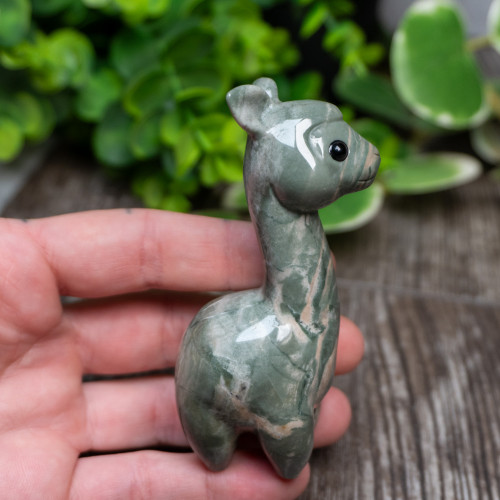 Nine Dragon Jade Llama