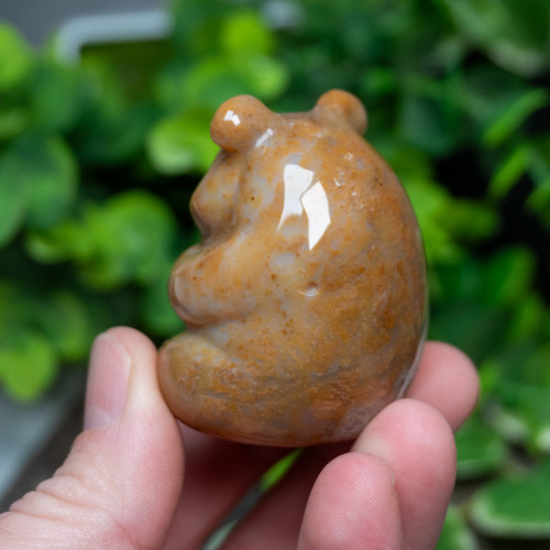 Agate Bear Medium