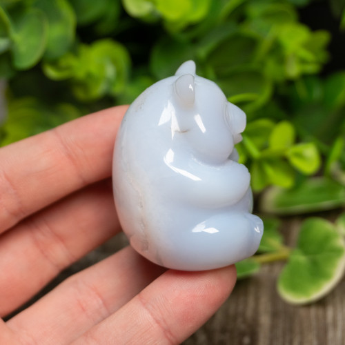 Blue Chalcedony Bear Medium