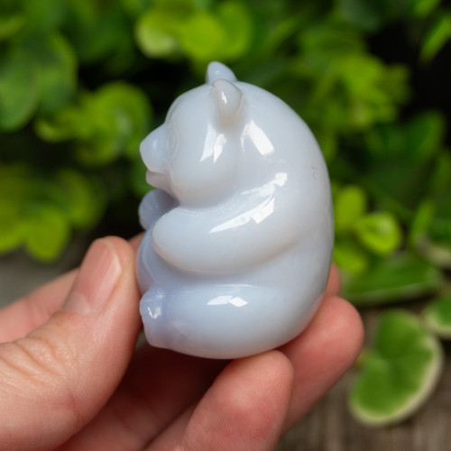 Blue Chalcedony Bear Medium