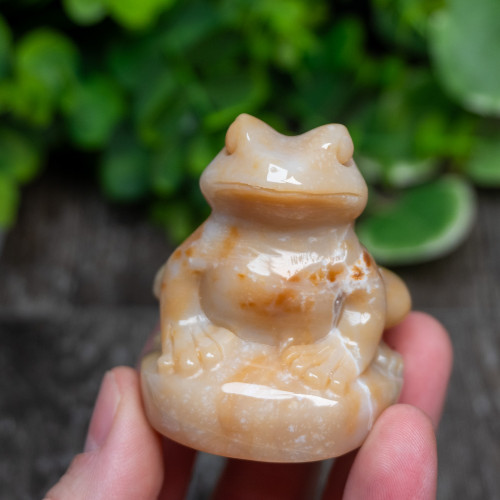 Agate Frog Medium