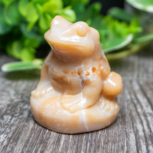 Agate Frog Medium