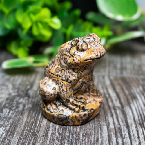 Leopard Skin Jasper Frog Medium