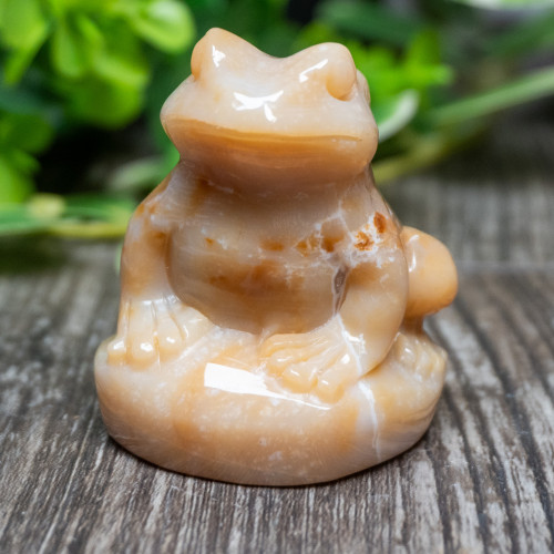 Agate Frog Medium