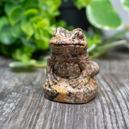 Leopard Skin Jasper Frog Medium