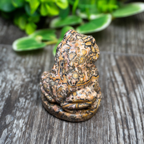 Leopard Skin Jasper Frog Medium